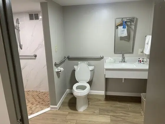 Standard Oda, 1 En Büyük (King) Boy Yatak, Engellilere Uygun, Sigara İçilmez (Mobility Accessible)