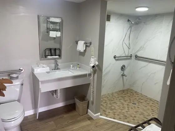 Standard Oda, 1 En Büyük (King) Boy Yatak, Engellilere Uygun, Sigara İçilmez (Mobility Accessible)