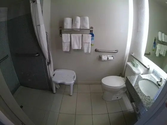 Oda, 1 En Büyük (King) Boy Yatak, Engellilere Uygun (Mobility/Hearing, Roll-In Shower)