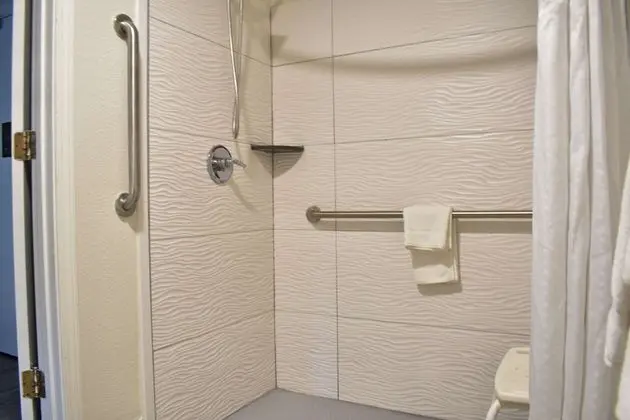 Oda, 1 En Büyük (King) Boy Yatak, Engellilere Uygun, Sigara İçilmez (Roll-in Shower)