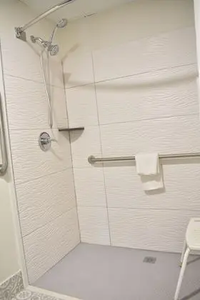Oda, 1 En Büyük (King) Boy Yatak, Engellilere Uygun, Sigara İçilmez (Roll-in Shower)