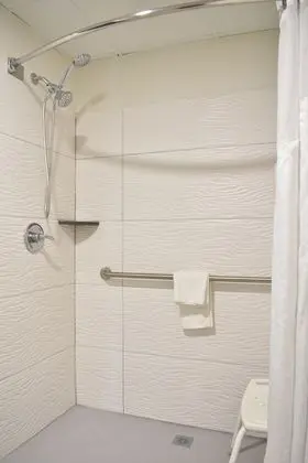 Oda, 1 En Büyük (King) Boy Yatak, Engellilere Uygun, Sigara İçilmez (Roll-in Shower)