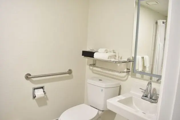 Oda, 1 En Büyük (King) Boy Yatak, Engellilere Uygun, Sigara İçilmez (Roll-in Shower)