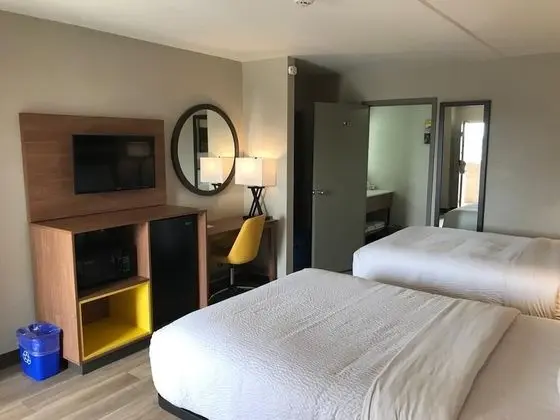 Deluxe Oda, 2 Çift Kişilik Yatak, Sigara İçilebilir