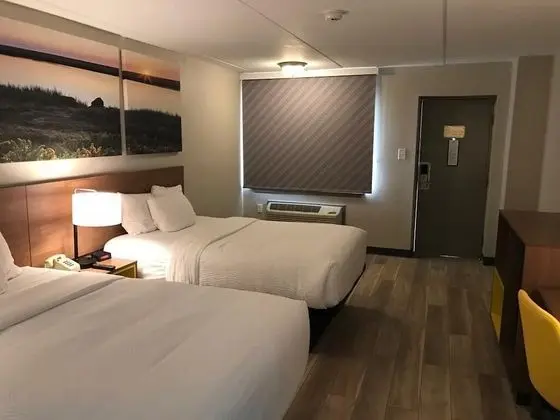 Deluxe Oda, 2 Çift Kişilik Yatak, Sigara İçilebilir