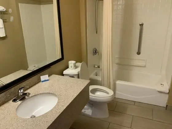 Süit, 1 En Büyük (King) Boy Yatak, Sigara İçilmez (One-Bedroom Suite)