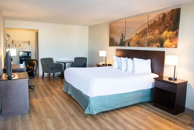 Oda, 1 En Büyük (King) Boy Yatak, Engellilere Uygun, Sigara İçilmez (Mobility)