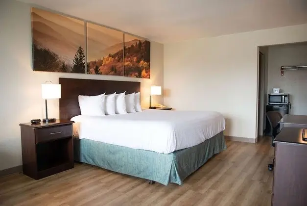 Oda, 1 En Büyük (King) Boy Yatak, Engellilere Uygun, Sigara İçilmez (Mobility)