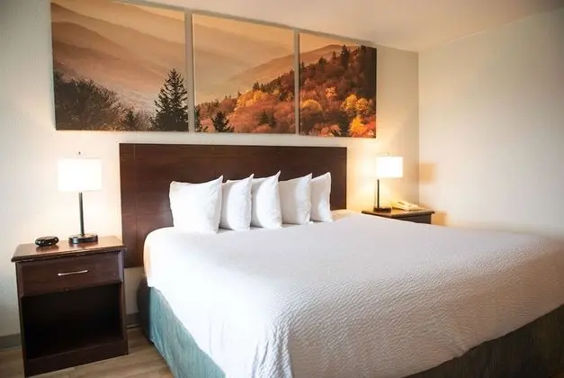 Oda, 1 En Büyük (King) Boy Yatak, Engellilere Uygun, Sigara İçilmez (Mobility)