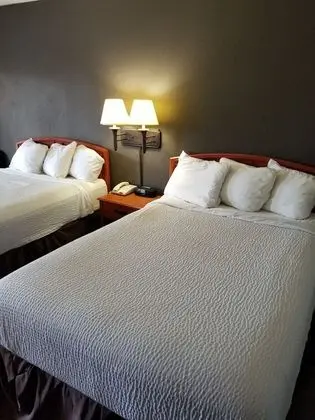 Tek Büyük Yataklı Oda, 2 Çift Kişilik Yatak