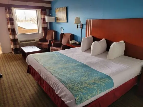 Standard Oda, 1 En Büyük (King) Boy Yatak