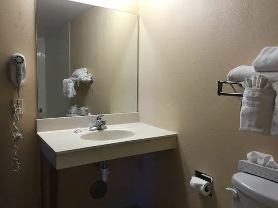 Stüdyo Süit, 1 En Büyük (King) Boy Yatak, Sigara İçilmez (Studio Suite, 1 King Bed, No Pets)