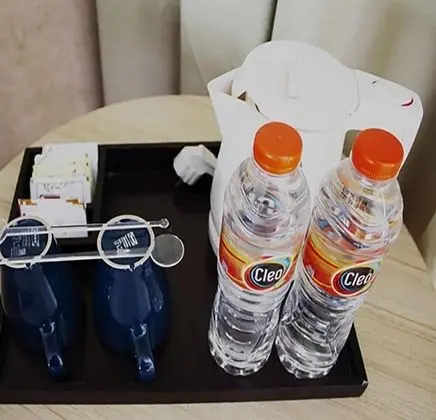 Superior Tek Büyük Yataklı Oda