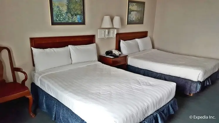 Superior Oda, 2 Çift Kişilik Yatak, Sigara İçilmez (Limited View)