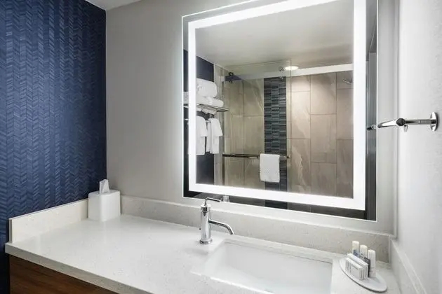 Oda, 1 En Büyük (King) Boy Yatak (Mobility Accessible, Roll-In Shower)