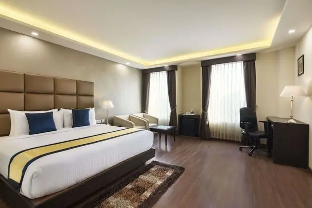 Deluxe Oda, 1 Çift Kişilik Yatak, Sigara İçilmez