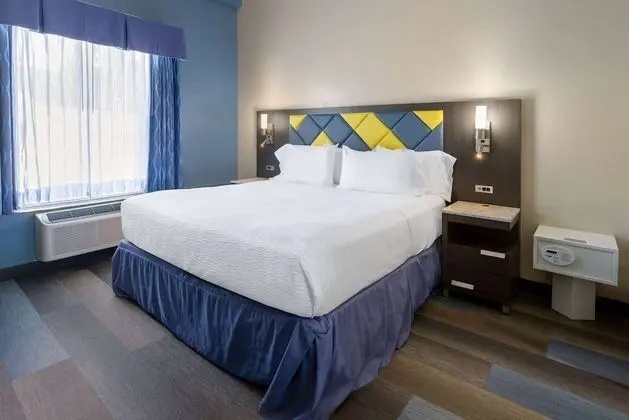 Oda, 1 En Büyük (King) Boy Yatak, Engellilere Uygun, Sigara İçilmez (Mobility Accessible Room)