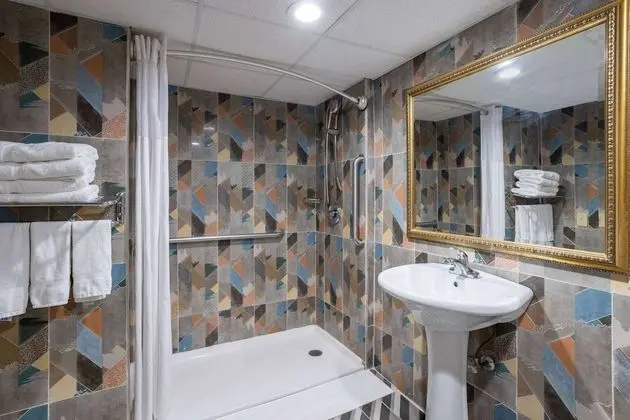 Oda, 1 En Büyük (King) Boy Yatak, Engellilere Uygun, Sigara İçilmez (Mobility Accessible Room)