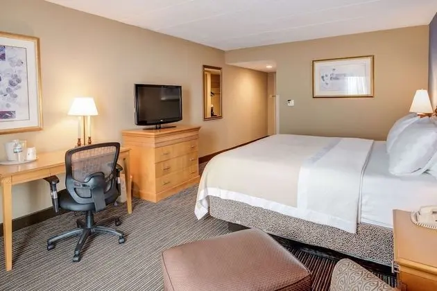 Oda, 1 En Büyük (King) Boy Yatak, Sigara İçilmez, Buzdolabı
