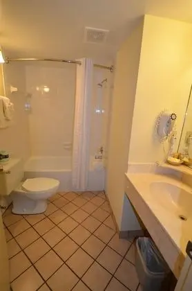 Premium Double(2 Double Beds)