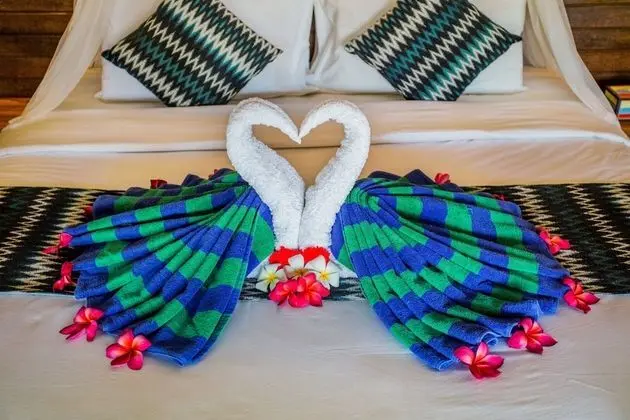 Deluxe Kır Evi