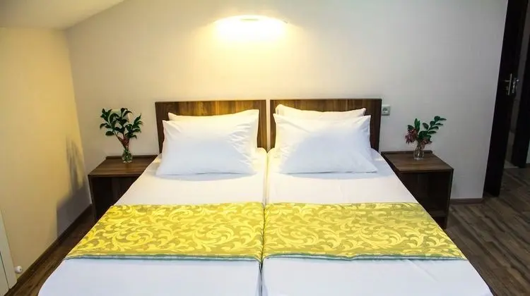 Deluxe İki Ayrı Yataklı Oda