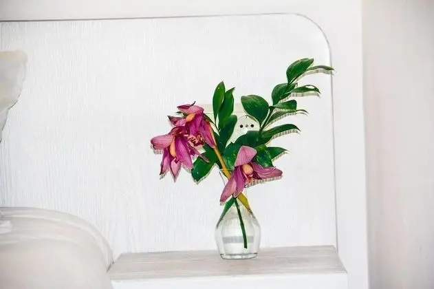 Deluxe İki Ayrı Yataklı Oda