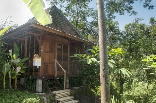 Villa, 1 Yatak Odası, Vadi Manzaralı