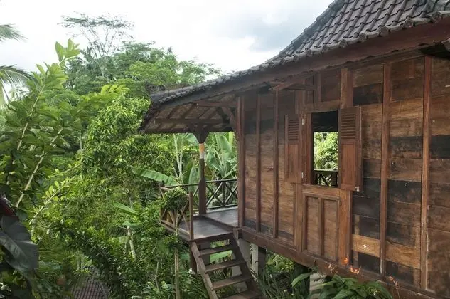 Deluxe Villa, 1 Yatak Odası