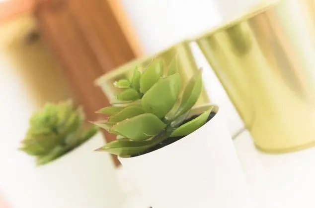 Comfort Üç Kişilik Oda, Ortak Banyo