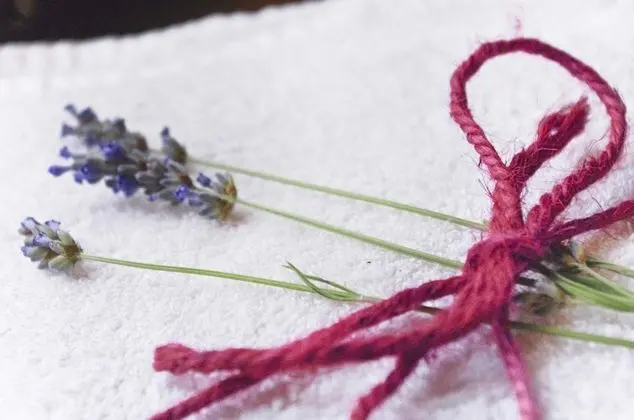 Junior Süit, Özel Banyo (External)