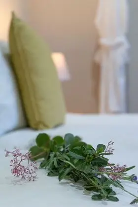 Luxury Tek Büyük veya İki Ayrı Yataklı Oda, Banyolu/Duşlu, Bahçeli