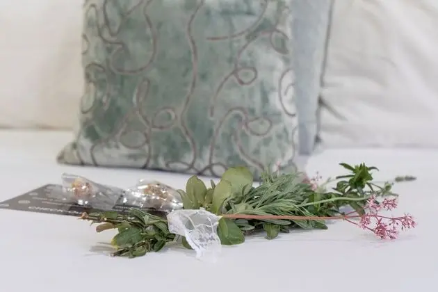 Luxury Tek Büyük Yataklı Oda, 1 Büyük (Queen) Boy Yatak, Banyolu/Duşlu, Bahçe Manzaralı