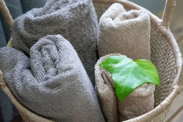 Luxury Tek Büyük Yataklı Oda, 1 Büyük (Queen) Boy Yatak, Banyolu/Duşlu, Bahçe Manzaralı