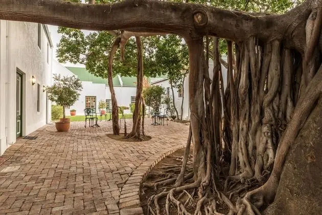 Tek Büyük veya İki Ayrı Yataklı Oda, 1 Yatak Odası, Sigara İçilmez, Resort Manzaralı