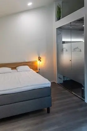 Standard Tek Büyük Yataklı Oda, 1 Çift Kişilik Yatak