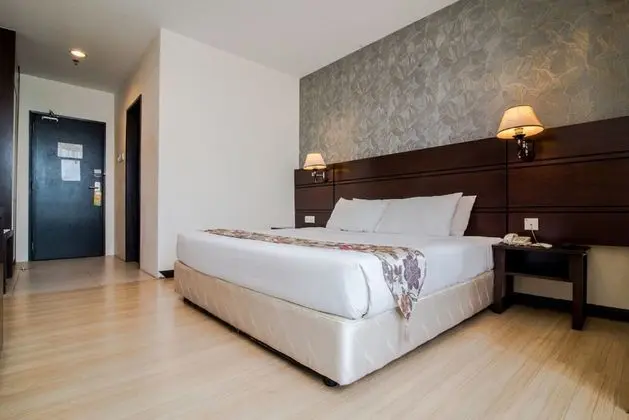 Superior Tek Büyük Yataklı Oda, 1 En Büyük (King) Boy Yatak, Balkon, Şehir Manzaralı