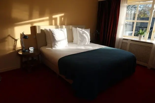 Deluxe Oda, 1 Büyük (Queen) Boy Yatak