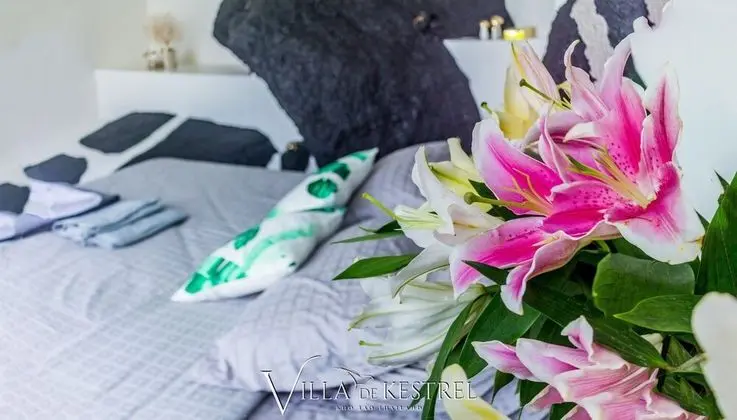 2 Bedrooms Villa