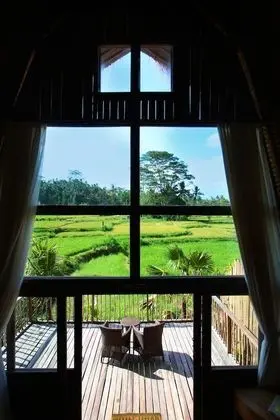 Panoramic Süit (Ricefield view)