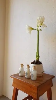 Luxury Villa, 1 Yatak Odası, Kişiye Özel Havuzlu, Dağ Manzaralı