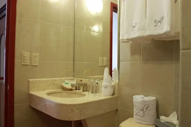 Superior Tek Büyük Yataklı Oda