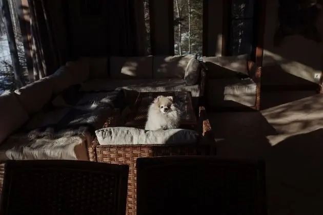 Dağ Evi, 3 Yatak Odası