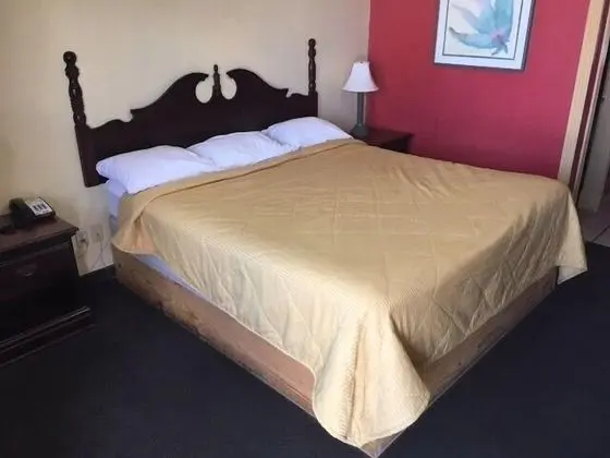 Deluxe Oda, 1 En Büyük (King) Boy Yatak, Sigara İçilmez