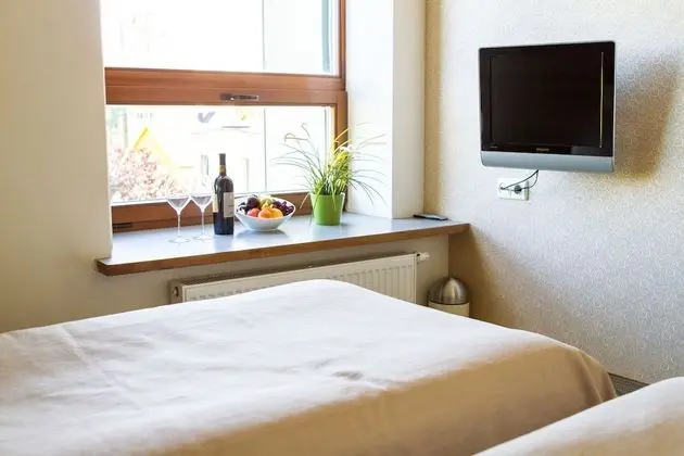 Standard Tek Büyük veya İki Ayrı Yataklı Oda, Şehir Manzaralı