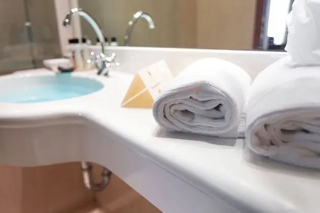 Deluxe Üç Kişilik Oda (Spa use included)