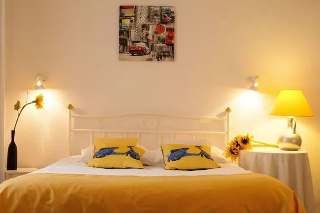 Superior Tek Büyük Yataklı Oda