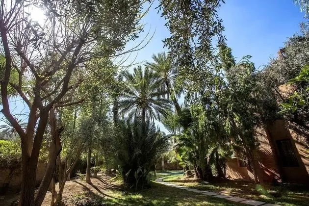Superior Villa, 3 Yatak Odası, Kişiye Özel Havuzlu