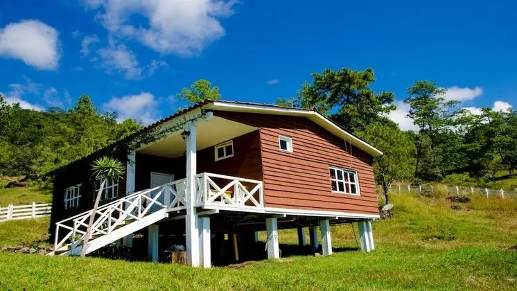 Ortak Ranzalı Oda (Habitacion 5)