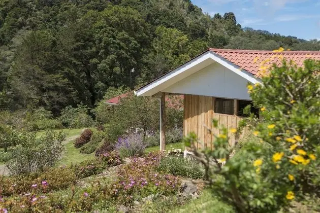 Standard Üç Kişilik Oda, Birden Çok Yatak, Banyolu/Duşlu, Dağ Manzaralı